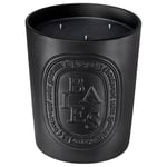 Diptyque Baies Scented Candle, 600g