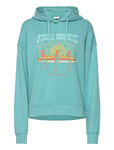 O'neill O'neill Beach Vintage Hoodie Blå