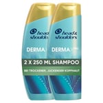 Head & Shoulders DERMAXPRO Lot de 2 flacons de 250 ml de shampoing apaisant avec shampoing anti-pelliculaire et masque anti-peau à l'aloe vera actif contre les démangeaisons et le cuir chevelu sec