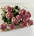 Bouquet of 12 Naturally Dried Rose Stems! Dried Roses! Coffee-and-Milk Tone+Pink