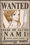 One Piece Poster Wanted Nami Wano 52 x 38 cm Gbeye