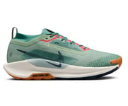 Nike Homme Pegasus Trail 5 Gore-TEX Sneaker, Gris/Bleu Marine (Cement Grey Midnight Navy Jade Horizon), 42 EU