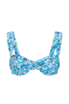 Sol Bikini Top - Stellina Floral