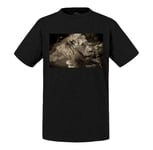 T-Shirt Enfant Sépia Lion Couché Crinière Nature Roi Des Animaux