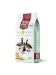 Hobby First DUCK 2 PELLET