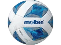 Futsal Ball Molten F9a2000