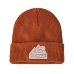 Patagonia Logo Beanie Kids Z's and S's:redtail rust