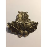 Mjølner Hunting Hunting Wild Boar Trophy Brass Mount Oak Leaf