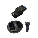 Battery x2 & Dual USB Charger for Panasonic DMW-BLF19, DMW-BLF19E