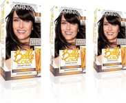 Garnier Belle Color Brown Hair Dye Permanent, Natural Looking Hair Colour, Up T