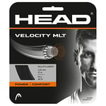 HEAD Velocity MLT Ensemble de Cordes de Tennis Unisexe pour Adulte, Adulte - Mixte, 281404-15LBK, Noir, 15L