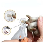 Choyclit - professionnel coupe ongles pour animaux de compagnie ciseaux chien chat ongles orteil griffe Clipp