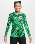 Netherlands (Men's Team) 2024/25 Stadium Goalkeeper Older Kids' Nike Dri-FIT Football Replica Shirt