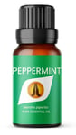 Peppermint Essential Oil 10ml | Pure Natural Oil | Mouse Bug Spider Repellent