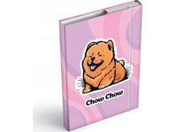 Mfp-Papperslåda Mapp Med Suddgummi A5 Chow Chow 8021059