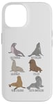 iPhone 14 Different Type of Sea Lions Breed Collection,Cute Sea Lions Case