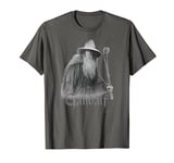 The Lord of the Rings Gandalf the Grey T-Shirt