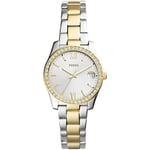 Fossil Scarlette Montre pour femmes, mouvement à quartz, bracelet en acier inoxydable ou en cuir