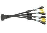 MATROX Quad-TV - S-video / kompositt-kabel - 30 cm