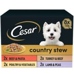 Cesar Country Stew Adult Wet Dog Food, Special Selection, Pack of 3 (3 x 8 Trays x 150 g)