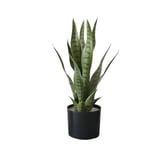 Zstar Sansevieria Plante Artificielle en Pot 50 cm Plante Tropicale d'intérieur Grande Plante Artificielle Décoration pour la Maison, Le Salon, la Chambre à Coucher, Le Bureau, Le Jardin, Vert