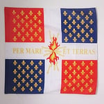 AZ FLAG - Drapeau Compagnies franches de la Marine - 90x90 cm - Drapeau Royaume De France 100% Polyester avec Fourreau et Cordelette - Pavillon 80 g