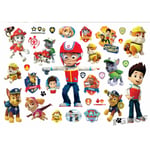 Paw patrol 20 st barntatueringar tatuering chase sky