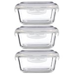 Freska 3pc 800ml Borosilicate Glass Lunch Box Food Container Airtight Lid Set