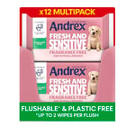 Andrex Fresh & Sensitive Hygiene Wipes, 12 Pack; Moist Toilet Tissue, Hypoallergenic and Fragrance Free Wet Wipes for Sensitive Skin, Flushable, 30 Sheets, (Pack of 12)