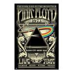 Grupo Erik - Poster Pink Floyd - The Dark Side of the Moon Tour 1973 - Deco Maison, Decoration Murale, Affiche Décorative