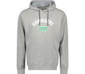 FLAG HOODIE M Herr GREY MELANGE M