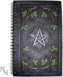 Nemesis Now Wiccan Book of Shadows 24cm Grey,NOW001