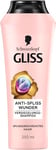 Gliss Shampoing anti-fourches miracle (250 ml), shampooing avec complexe ionique et huile de pépins de raisin, shampooing de soin pour cheveux abîmés, scellé les pointes fourchues longue durée