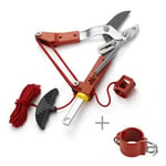 Echenilloir coupe branche mixte multi star ORM2 OUTILS WOLF