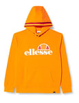 ELLESSE EHM919CO2-228 Hoodie Sweatshirt Men Orange Popsicle M