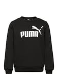 Ess Big Logo Crew Fl B Sport Sweat-shirts & Hoodies Sweat-shirts Black PUMA