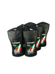 6 X Lynx Africa Shower Gel Body wash 12-H Refreshing 225ml ( Pack Of 6 )