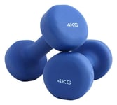 Shengluu Weights Dumbbells Sets Women Rubber Dumbbell Weights For Women And Men (Color : Blue, Size : 6KG)