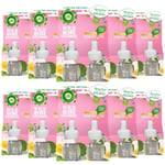 20 x Air Wick Plug In Air Freshener Refill Wild Rose & Patchouli 19ml