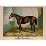 Artery8 After Henry Stull Ten Broeck 1881 Large Wall Art Poster Print Thick Paper 18X24 Inch