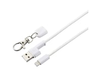 Renkforce Iphone/Ipad/Ipod Usb-Kabel [1X Usb 2.0 Stecker A - 1X Apple Lightning-Stecker] 0.95 M Weiß (Rf-4537330)