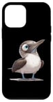 iPhone 12 mini Blue Footed Boobies Blue Footed Booby Case