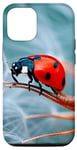 Coque pour iPhone 15 Pro Art des coccinelles, design graphique, amateur naturel d'insectes