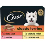 Cesar Classics Terrine - Wet Dog Food - for Adult Dogs - Tray Mixed Selection in Loaf - 16 x 150 g