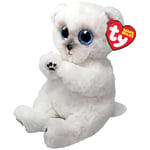 Ty Wuzzy Bear Polar Bear Beanie Bellies Regular - Squishy Beanie Baby Soft Plush Toys - Collectible Cuddly Stuffed Teddy