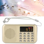 Digital Radio Mini Portable Radio Subwoofer Card MP3 Player Bass Speaker For TDM