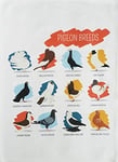 Half a Donkey Breeds of Pigeon - Large Cotton Tea Towel by
