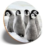 1 x Emperor Penguin Chicks - Round Coaster Kitchen Student Kids Gift #13280