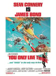 Pyramid International James Bond You Only Live Twice Little Nellie, Large Canvas