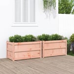 Jardinières 2 pcs bois massif douglas